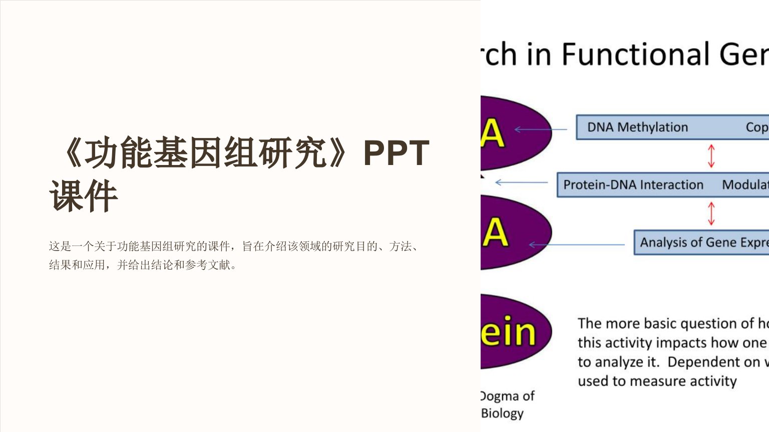 《功能基因组研究》课件