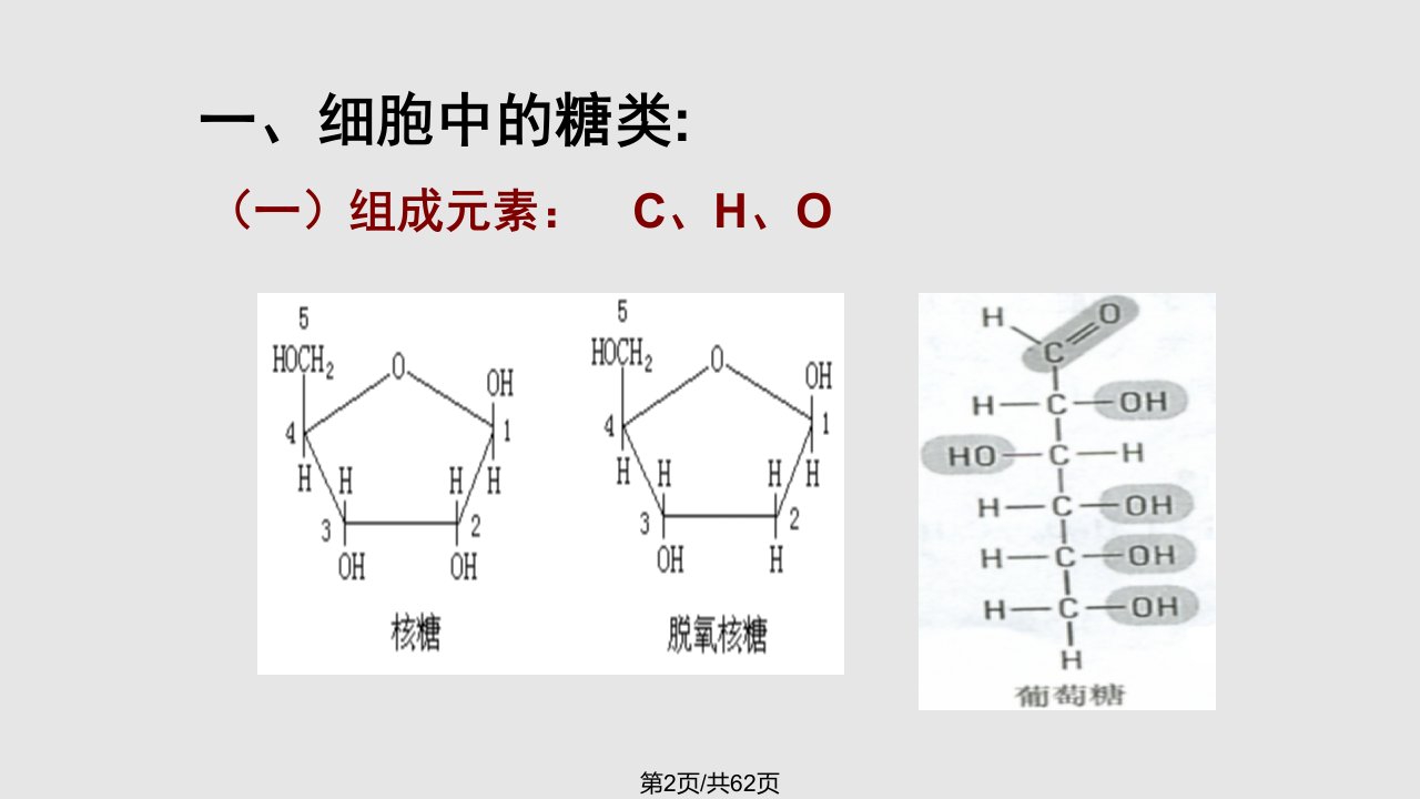 糖类和脂类学习