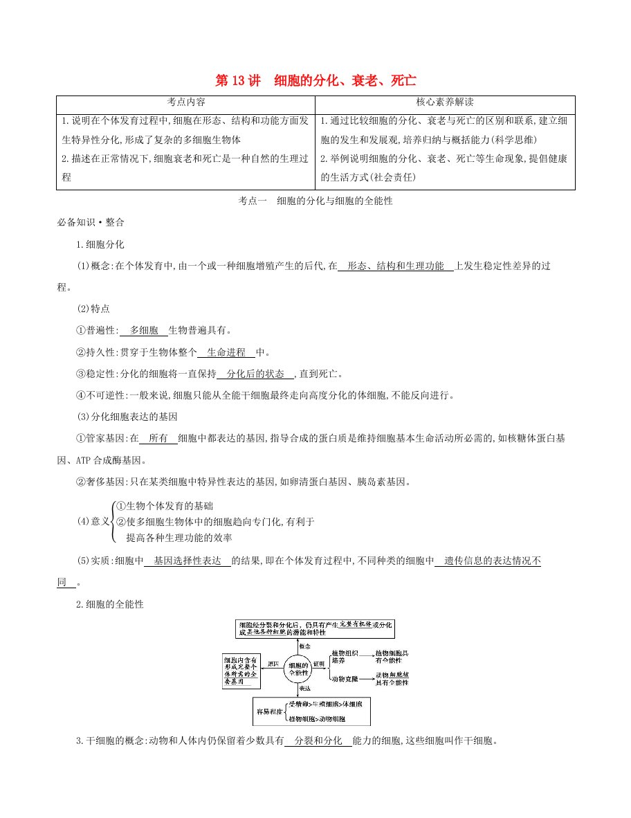 新教材高考生物总复习第4单元第13讲细胞的分化衰老死亡教案