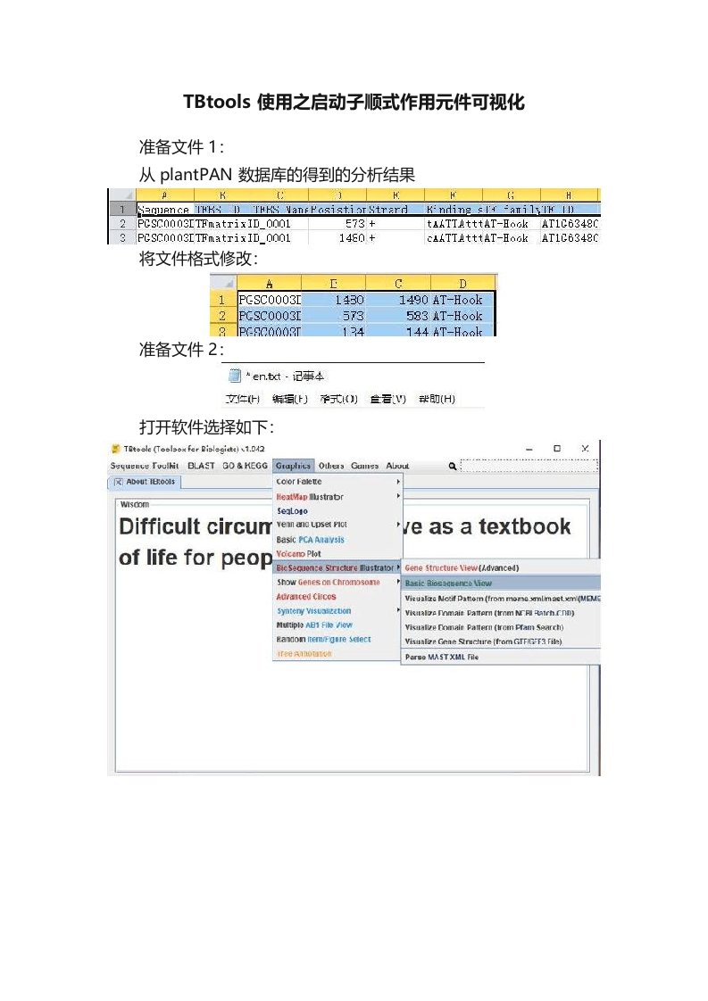 TBtoo使用之启动子顺式作用元件可视化