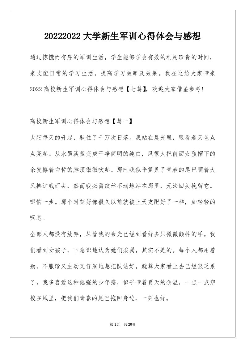 20222022大学新生军训心得体会与感想