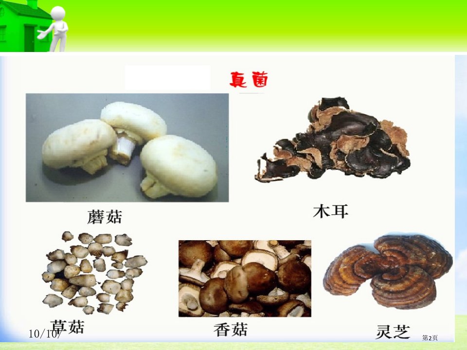 细菌和真菌的分布细菌和真菌市公开课一等奖省优质课获奖课件