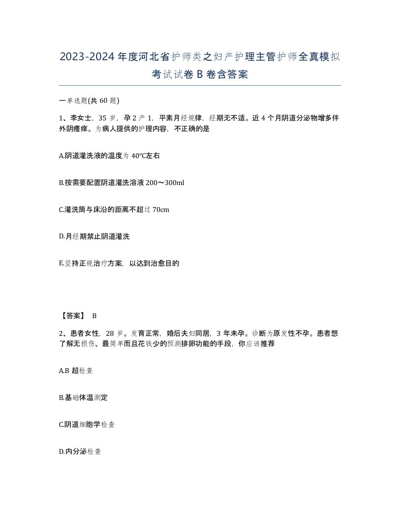 2023-2024年度河北省护师类之妇产护理主管护师全真模拟考试试卷B卷含答案