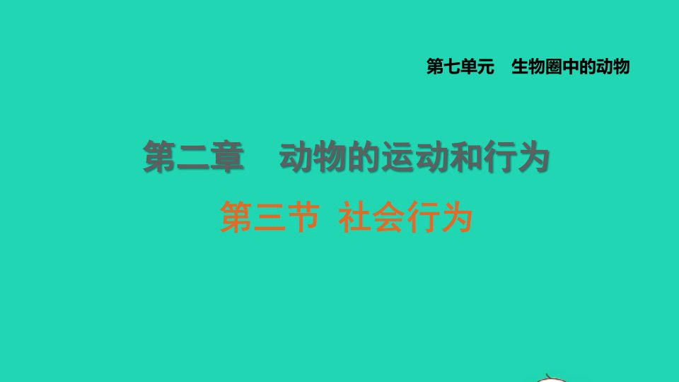 2021秋八年级生物上册第七单元生物圈中的动物第二章动物的运动和行为第3节社会行为课件鲁科版五四制