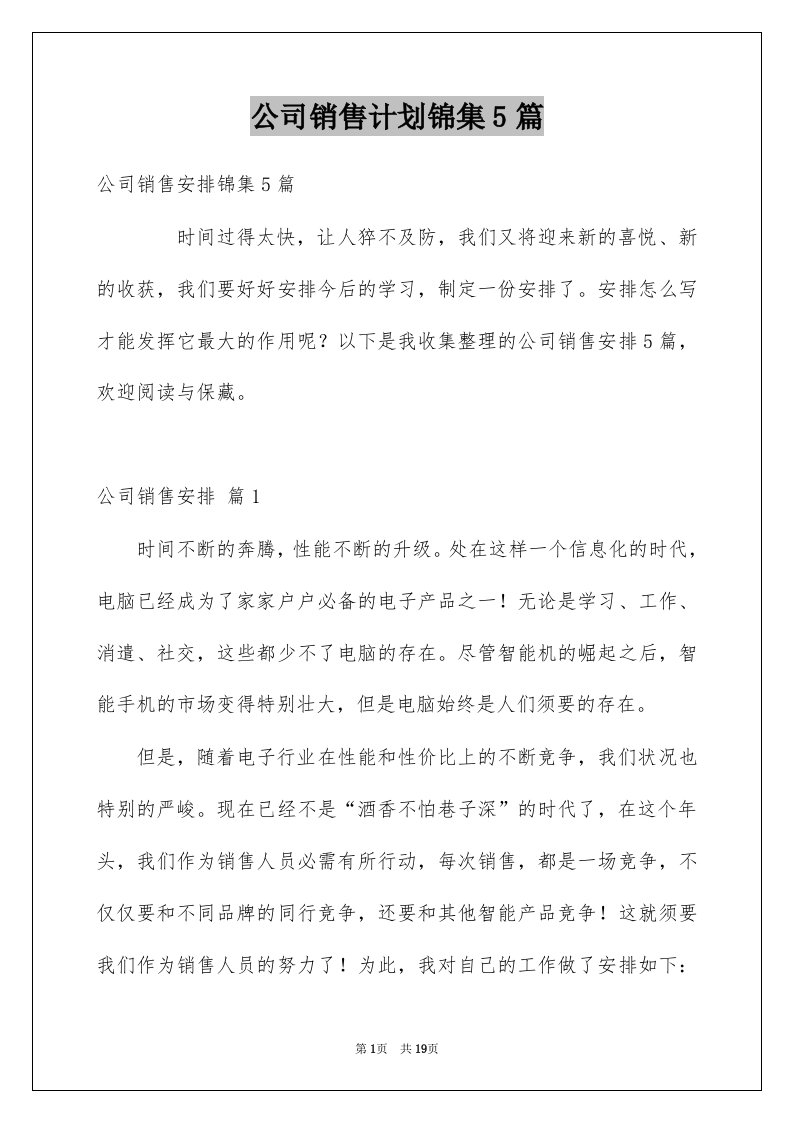 公司销售计划锦集5篇范文