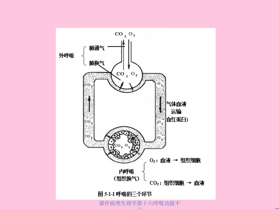 课件病理生理学第十六呼吸功能不全