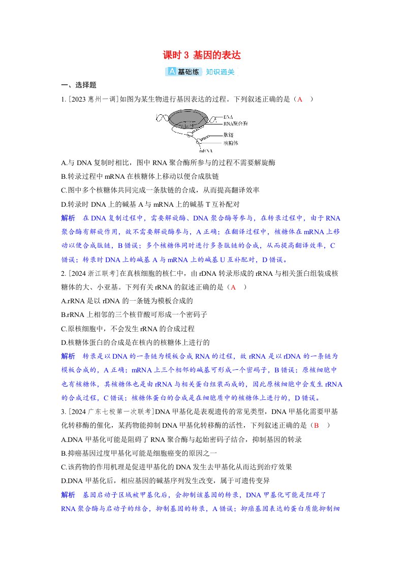 备考2024届高考生物一轮复习分层练习第六章遗传的分子基础课时3基因的表达