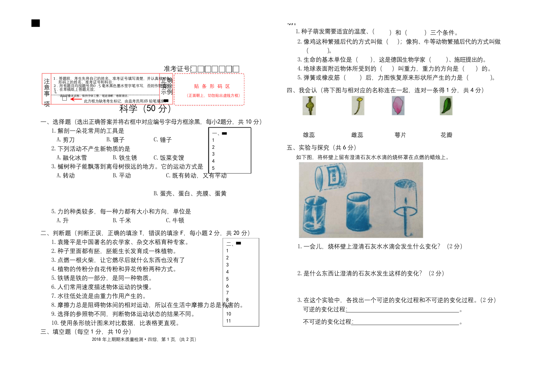 最新人教版四年级上册科学期末试题-含答案