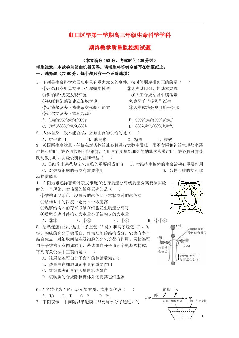 上海市虹口区高三生物上学期期末考试试题（上海虹口一模）沪科版