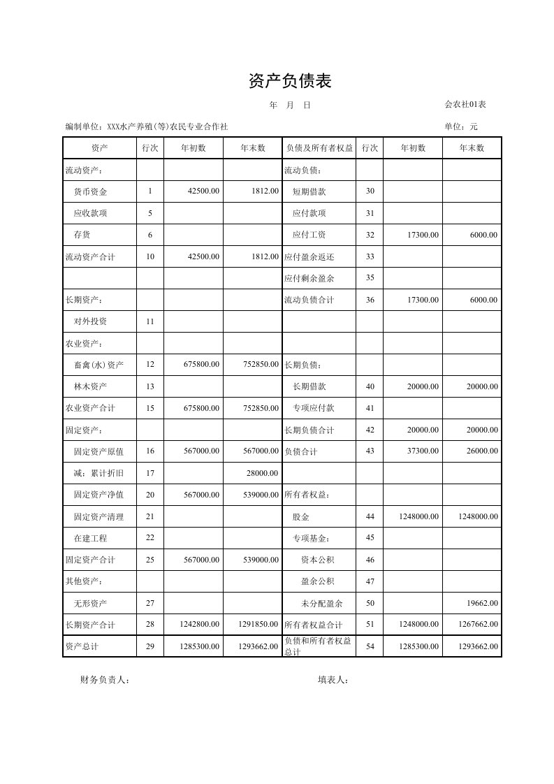 农民专业合作社资产负债表及损益表excel版