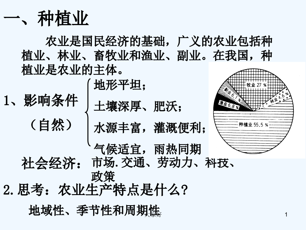 区域地理-中国农业-PPT