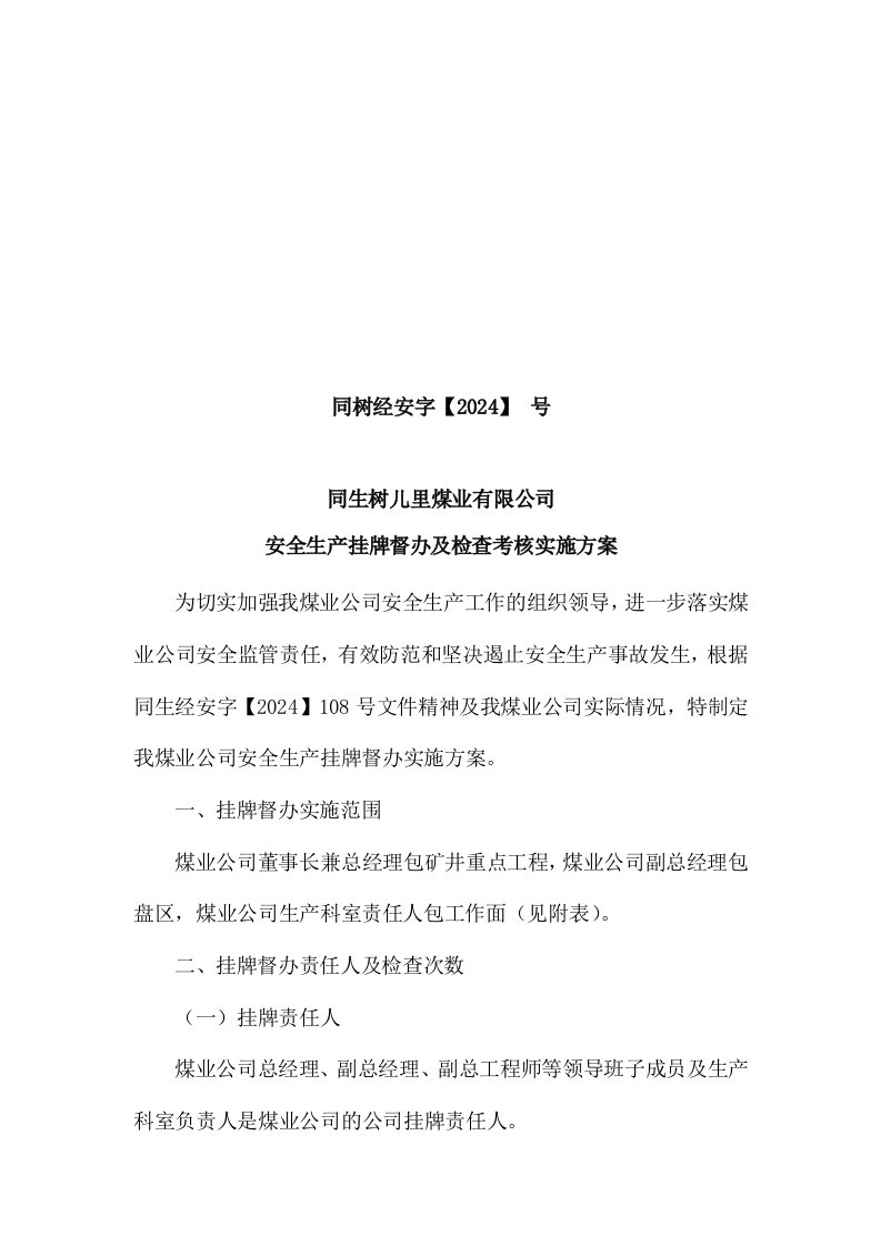 煤业公司安全生产挂牌督办及检查考核实施方案