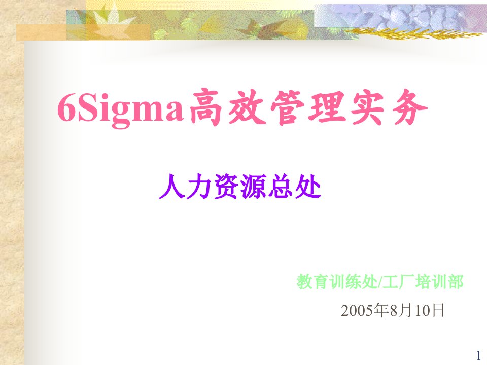 6SIGMA高效管理实务