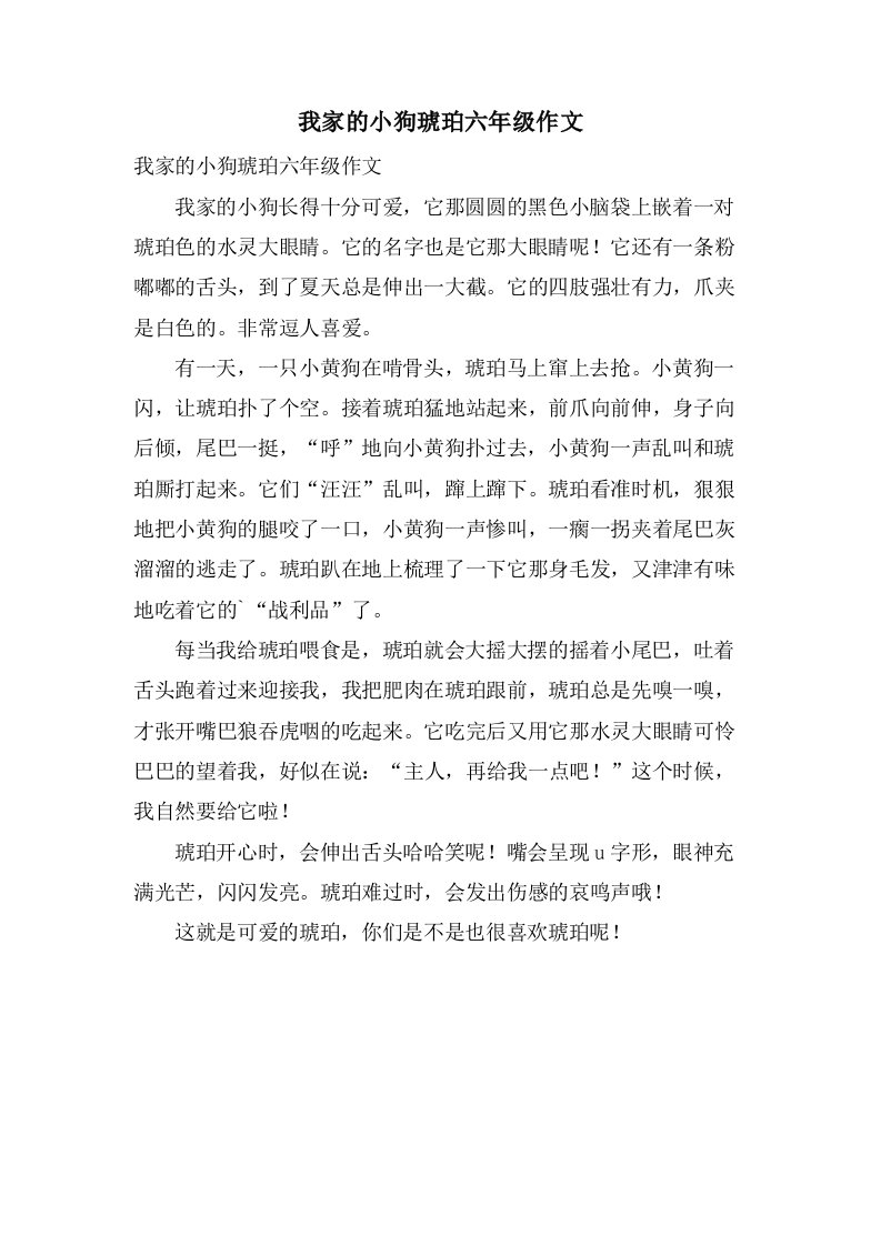 我家的小狗琥珀六年级作文