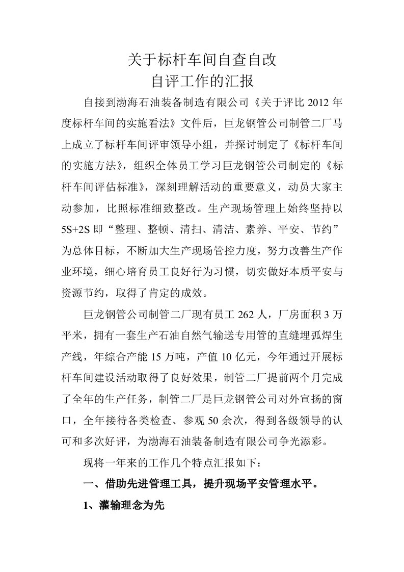 关于标杆车间自查自评工作的汇报(1)要点