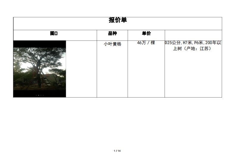 大树花卉报价单工作表