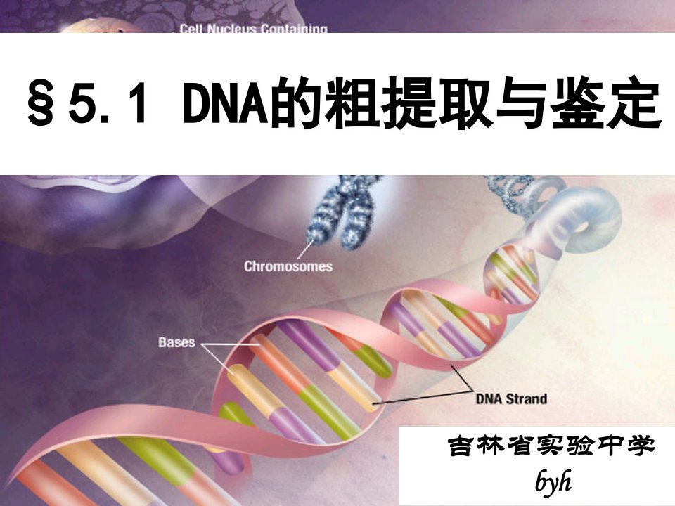 专题五DNA的粗提取与鉴定