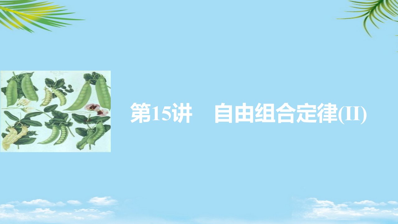 新版高考生物一轮复习第四单元孟德尔定律和染色体与遗传自由组合定律(Ⅱ)课件浙科版