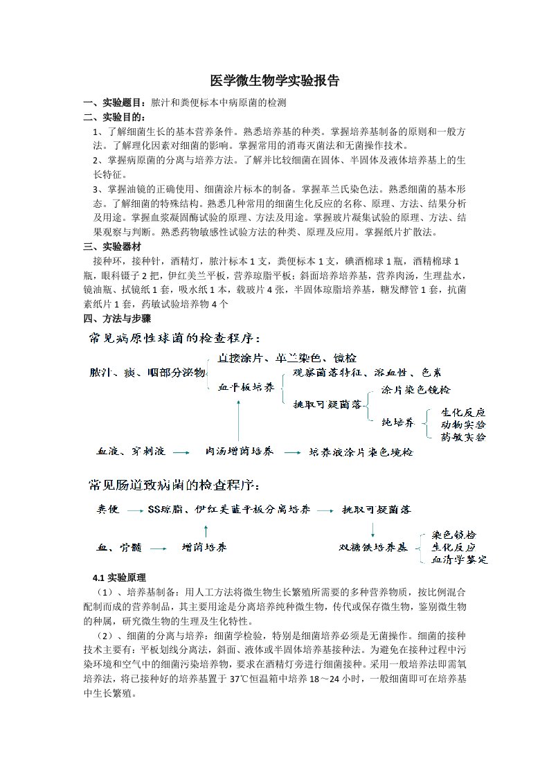 微生物脓汁粪便实验报告