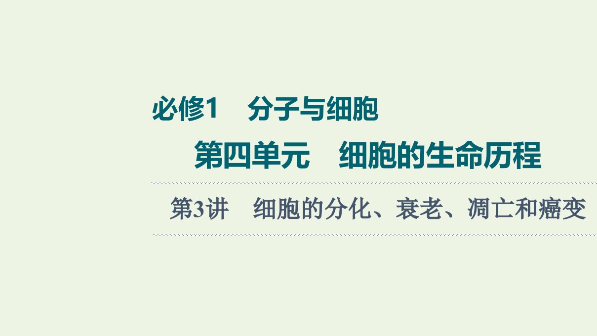 2022版高考生物一轮复习第4单元细胞的生命历程第3讲细胞的分化衰老凋亡和癌变课件