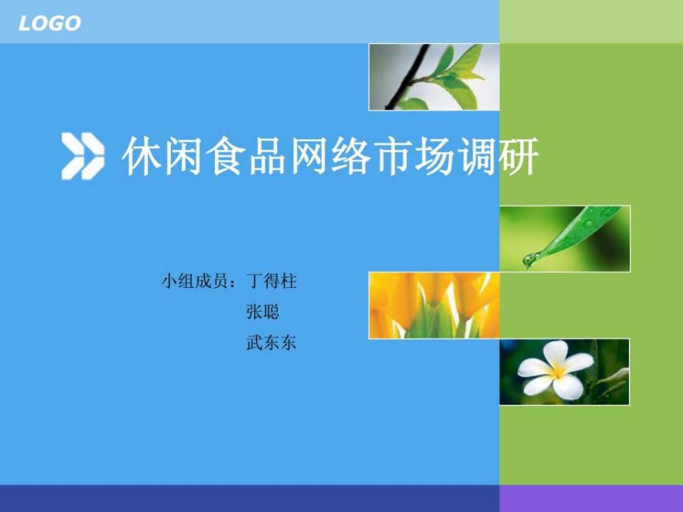 休闲食品网络市场调研报告.ppt