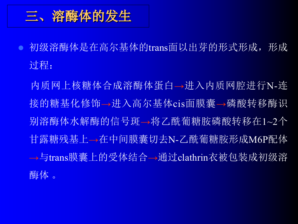 细胞质基质3ppt课件