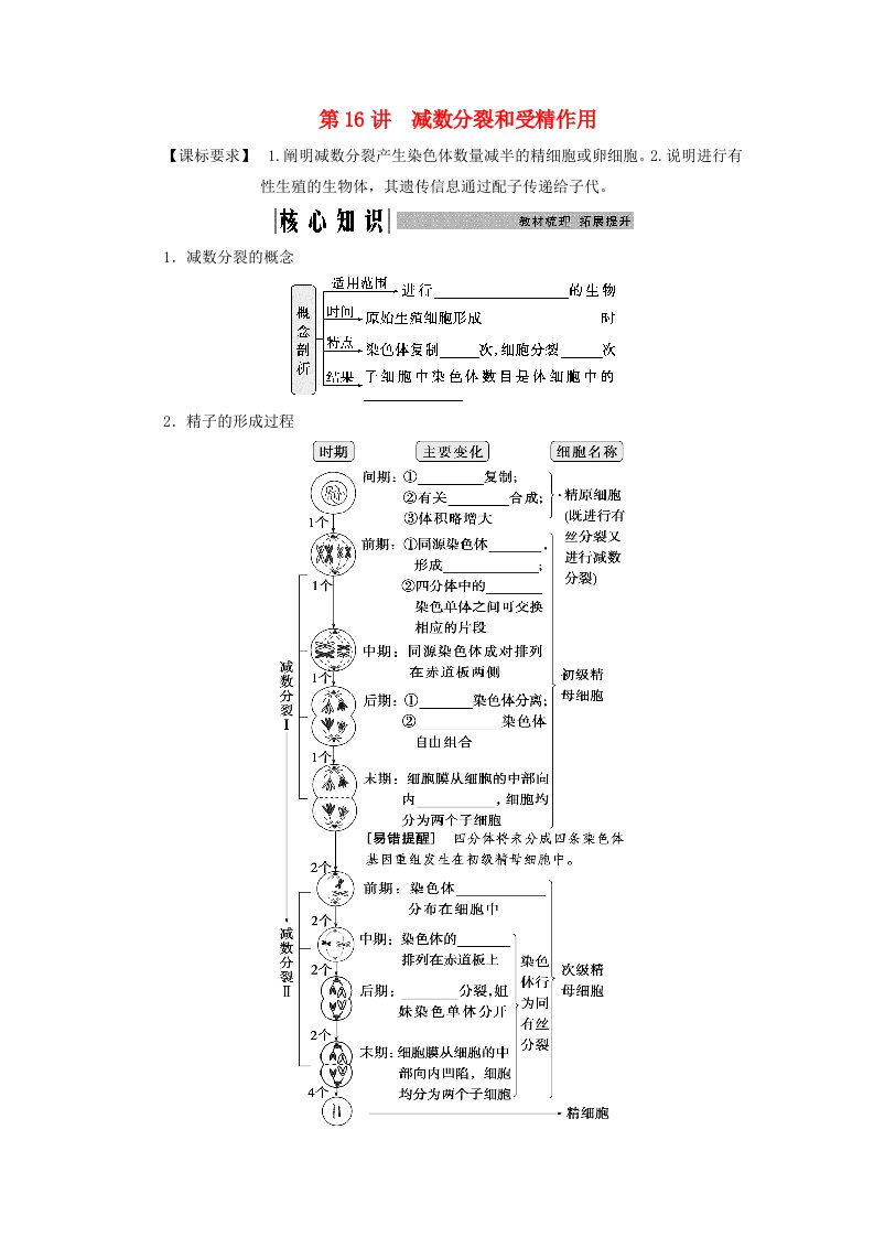 2025届高考生物一轮总复习学生用书必修1第四单元细胞的生命历程第16讲减数分裂和受精作用