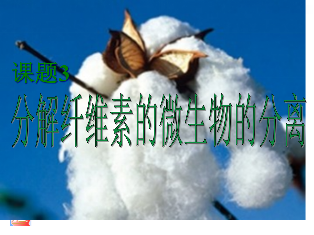 分解纤维素的微生物的分离知识点市公开课获奖课件省名师示范课获奖课件