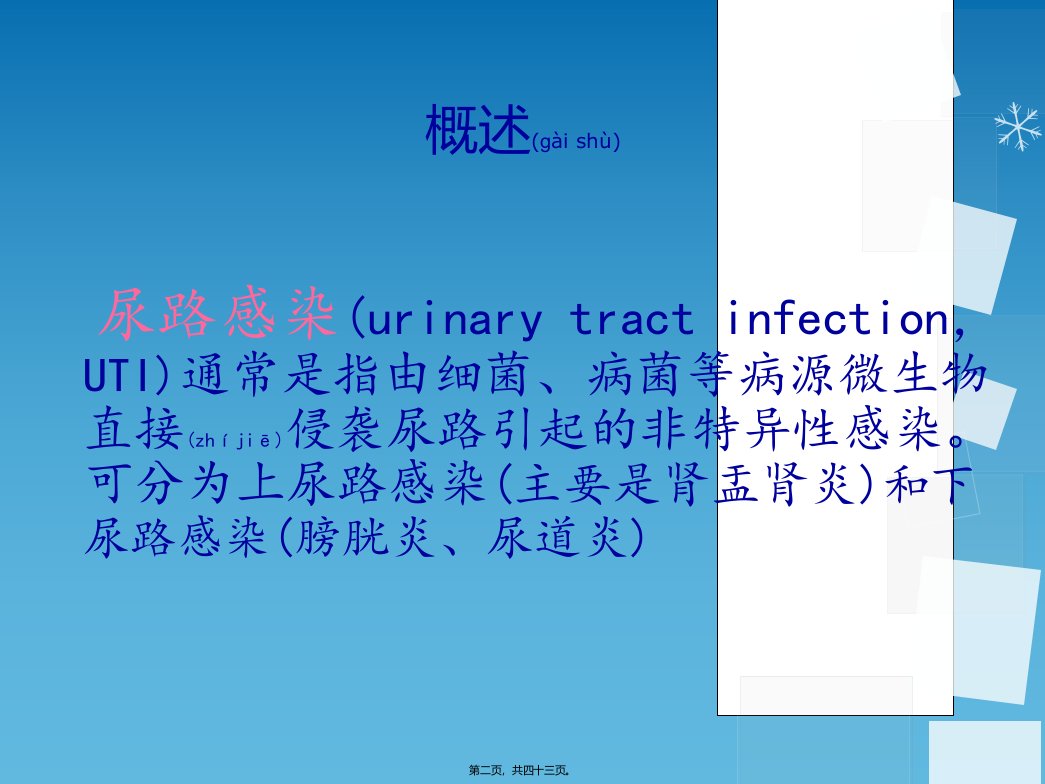 医学专题尿路感染PPT