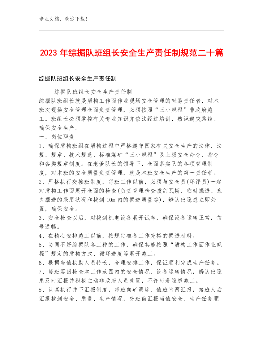 2023年综掘队班组长安全生产责任制规范二十篇