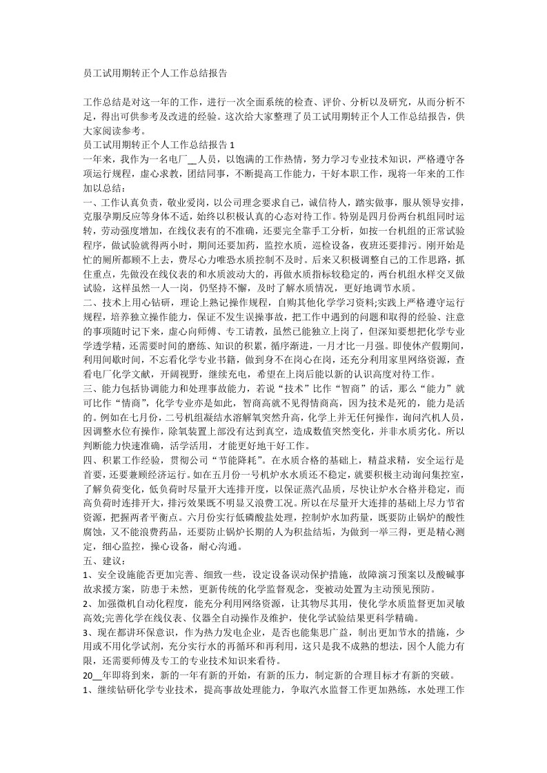 员工试用期转正个人工作总结报告