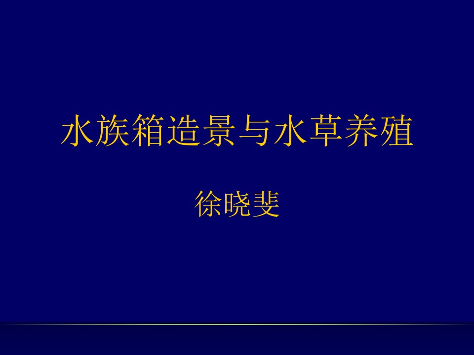 水族箱造景与水草养殖课件