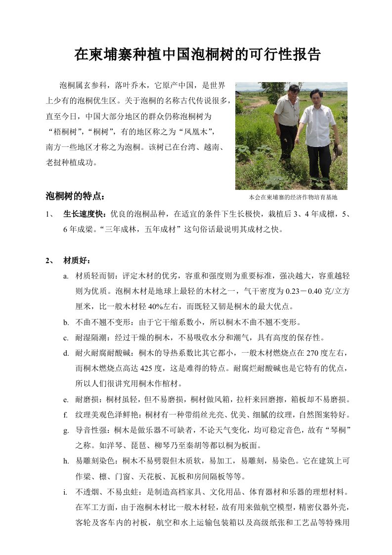 在柬埔寨种植中国泡桐树的可行性报告