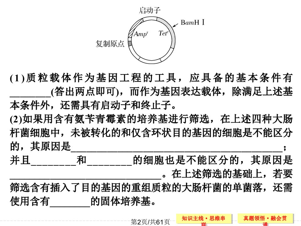 高三生物二轮基因工程与细胞工程