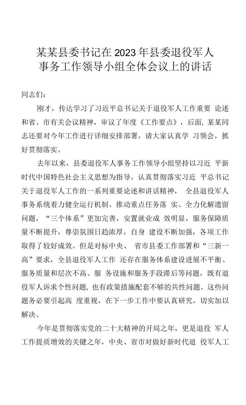 某某县委书记在2023年县委退役军人事务工作领导小组全体会议上的讲话