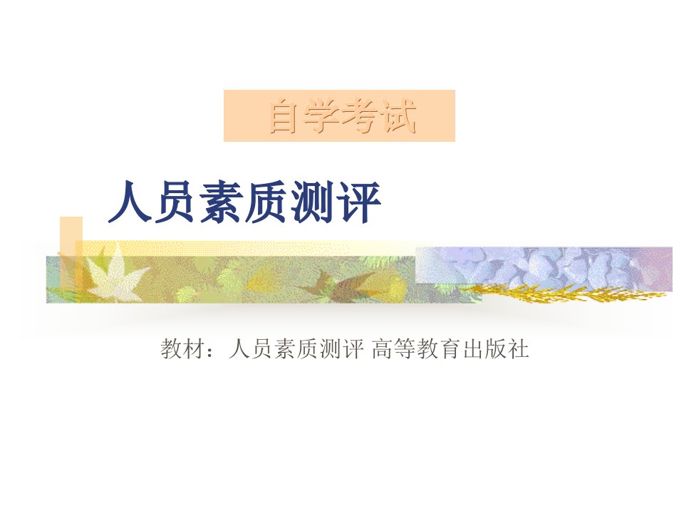 江苏自考人员素质测评讲义分析报告