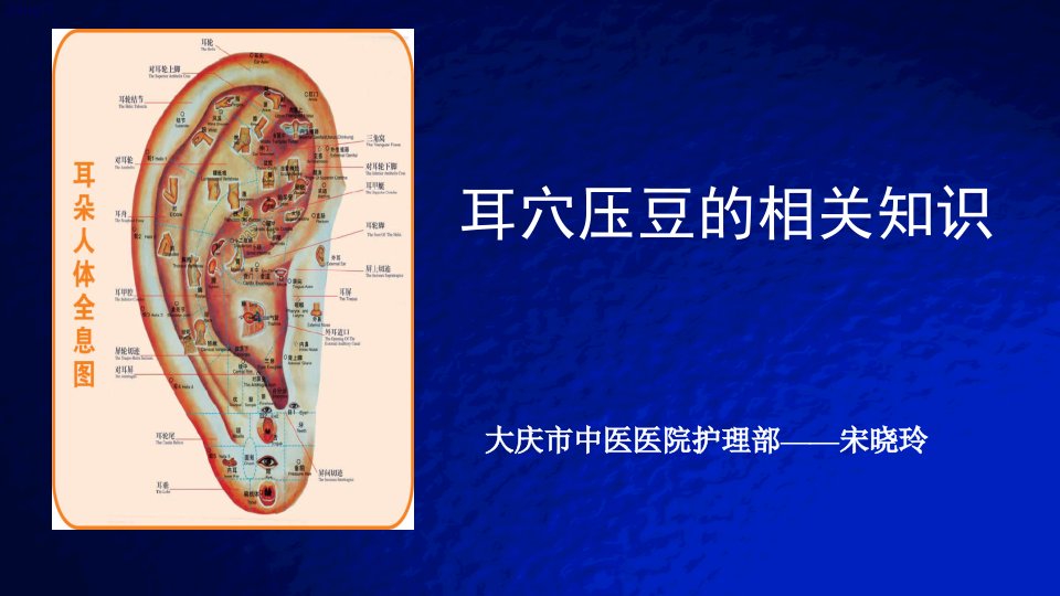 耳穴压豆的相关知识