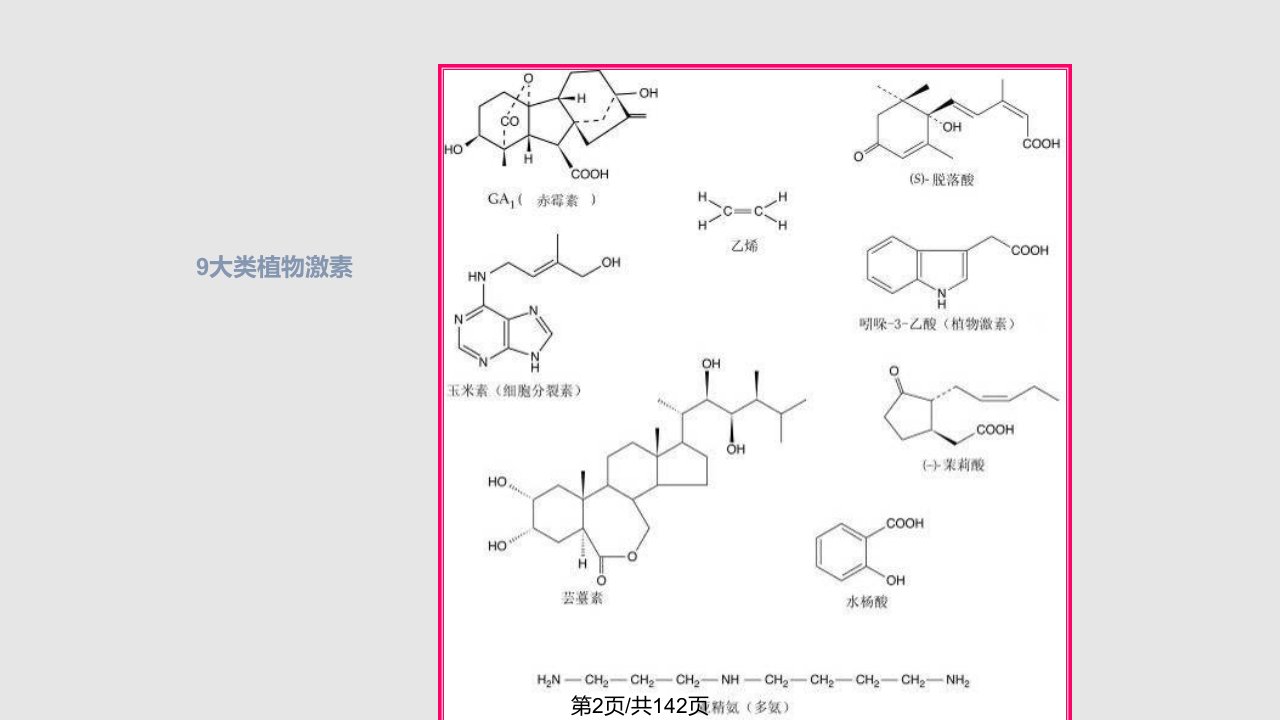 植物生长调节剂讲座