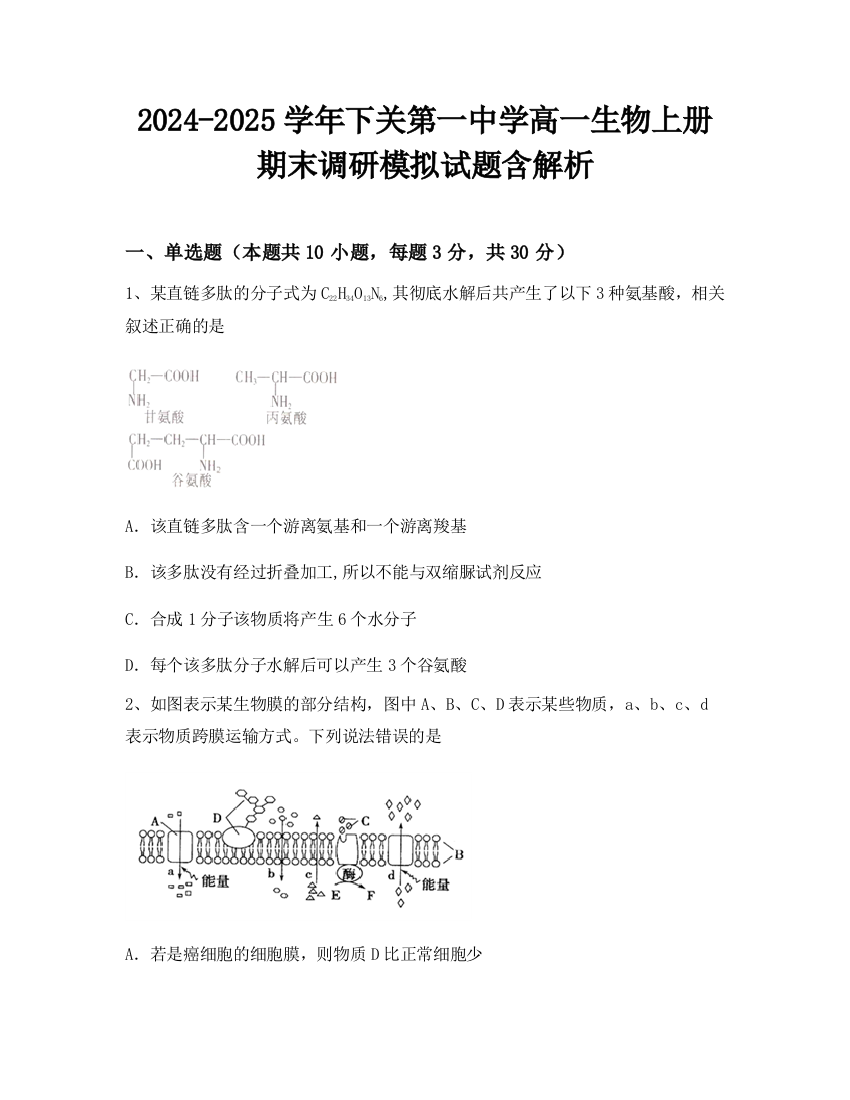 2024-2025学年下关第一中学高一生物上册期末调研模拟试题含解析