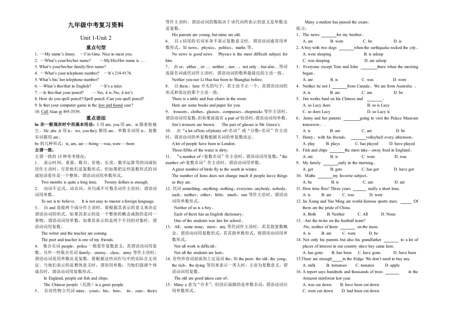 中考英语复习资料