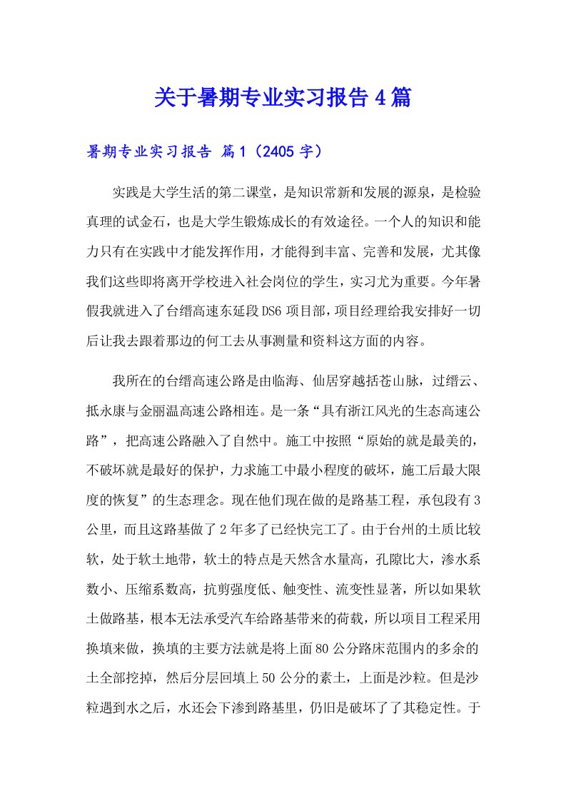 关于暑期专业实习报告4篇