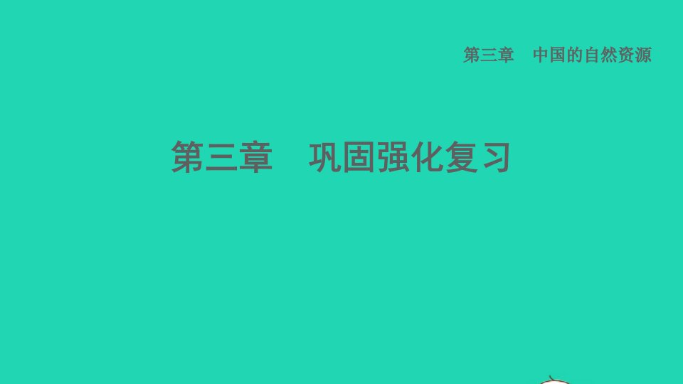 2021秋七年级地理上册第3章中国的自然资源强化巩固复习课件鲁教版五四制