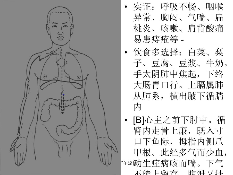 经络养生与子午流柱课件