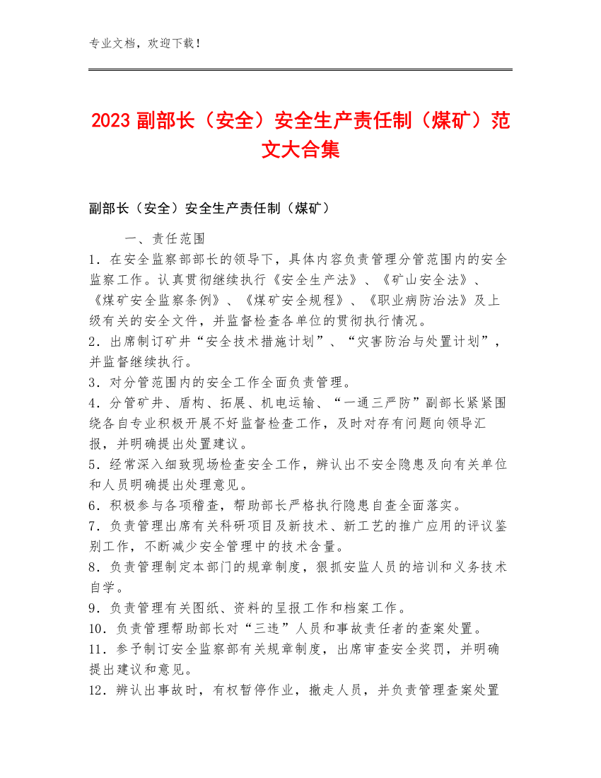 2023副部长（安全）安全生产责任制（煤矿）范文大合集