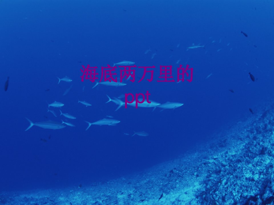 海底两万里的ppt-PPT讲义