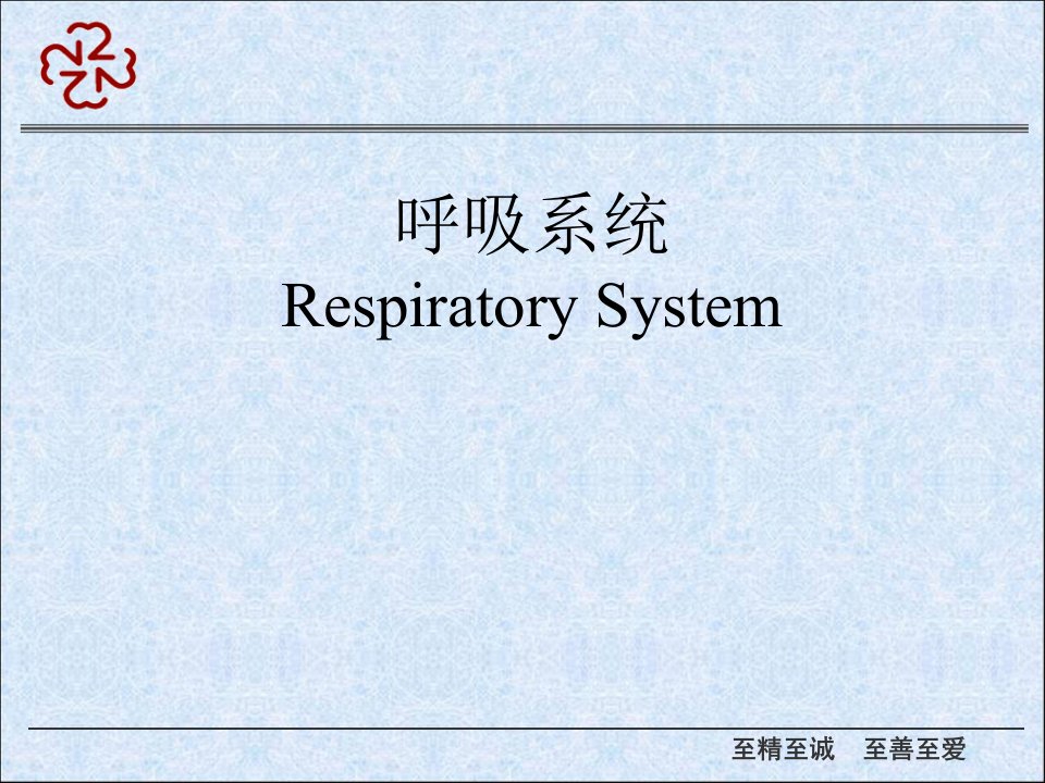 医学影像-(3)呼吸系统理论课ppt课件