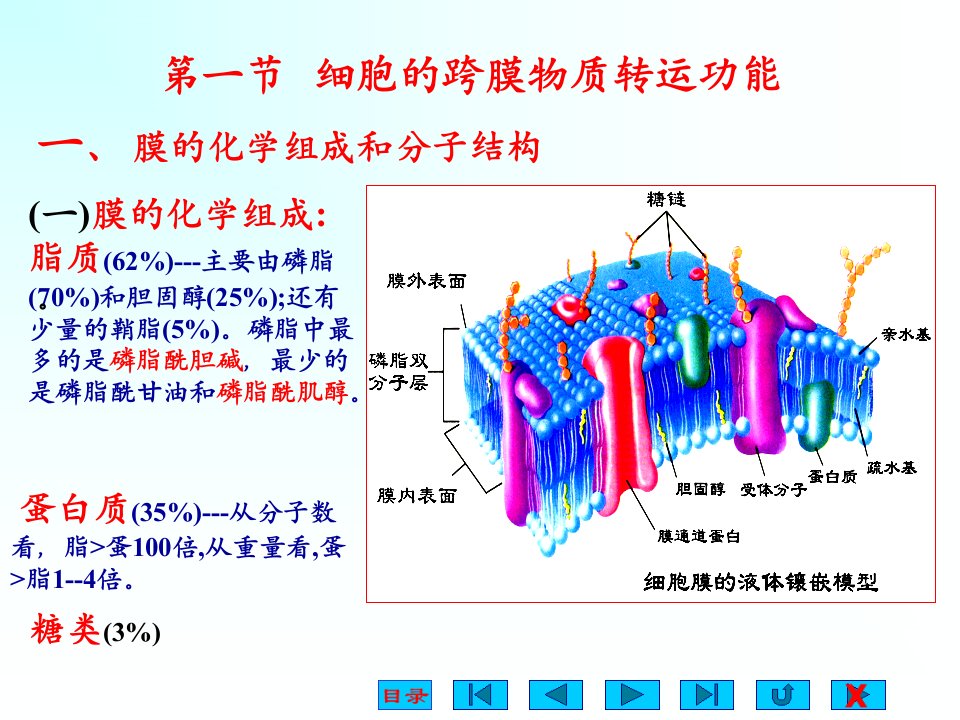 生理学第二章细胞的基本功能ppt课件