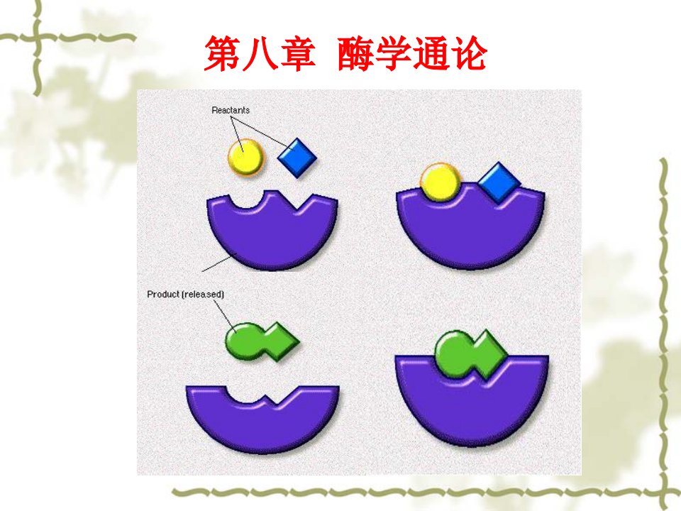 《酶学通论》PPT课件