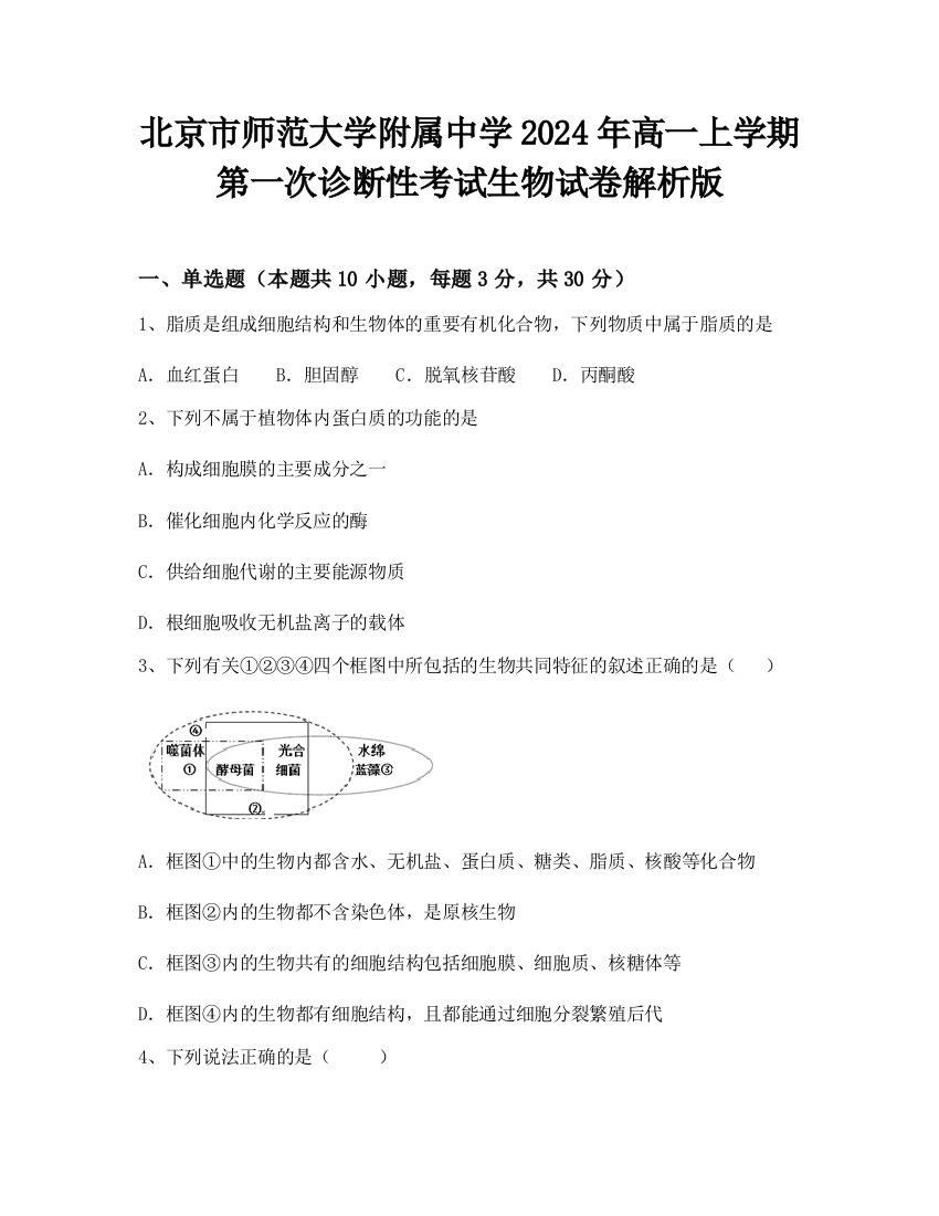 北京市师范大学附属中学2024年高一上学期第一次诊断性考试生物试卷解析版