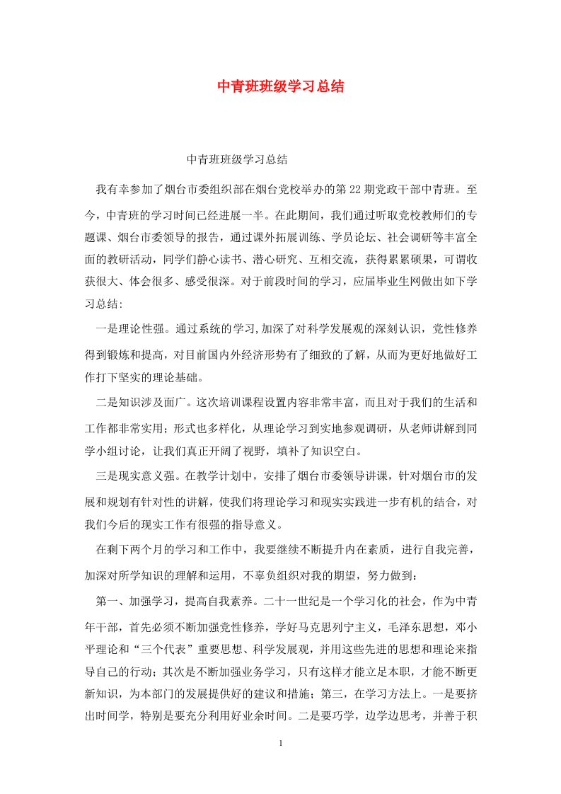 精选中青班班级学习总结